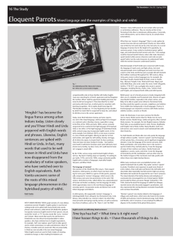 16 The Study Eloquent ParrotsMixed language and the examples of