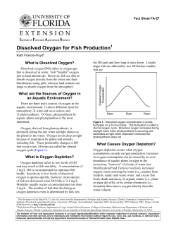 Low Dissolved Oxygen