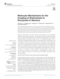 Molecular Mechanisms for the Coupling of Endocytosis to