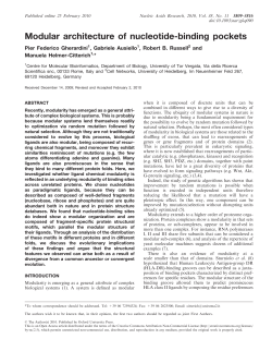Modular architecture of nucleotide-binding pockets