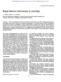 Rapid electron microscopy in oncology