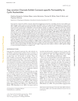 Gap Junction Channels Exhibit Connexin