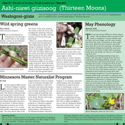 May - Fond du Lac Band of Lake Superior Chippewa