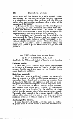 Short notes on some insects - Lincoln University Research Archive