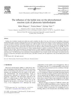 The influence of the halide ions on the photochemical