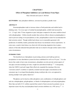 Effect of Phosphate Inhibitors on Lead Release From Pipes
