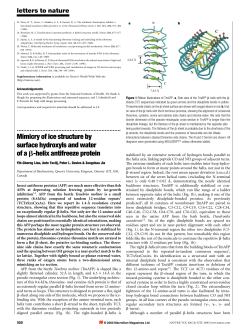 Mimicry of ice structure by surface hydroxyls and water of ab