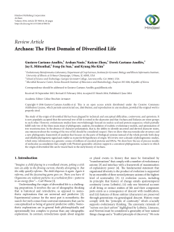 Archaea: The First Domain of Diversified Life