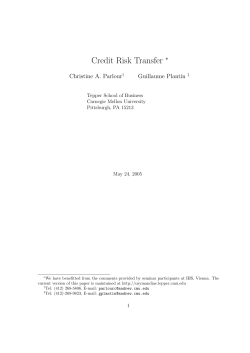 Credit Risk Transfer