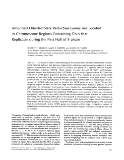 Amplified Dihydrofolate Reductase Genes Are
