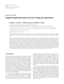 Review Article Fungal-Fungal Interactions in Leaf