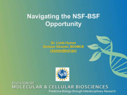 Navigating the NSF