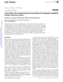 Controllable self-assembled laminated nanoribbons from dipeptide