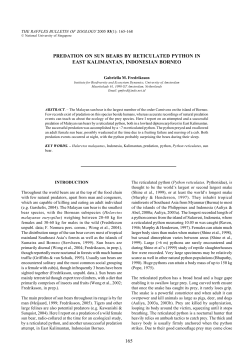 Predation on Sun Bears by Reticulated Python in East Kalimantan