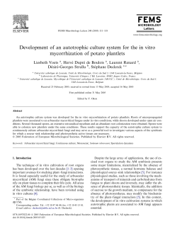 Development of an autotrophic culture system for