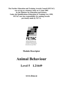 Animal Behaviour