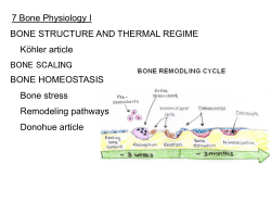 Bone stress