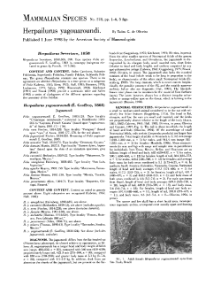 Herpailurus yagouaroundi.