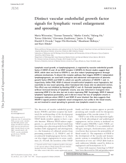 Distinct vascular endothelial growth factor signals for lymphatic