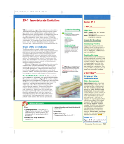 29–1 Invertebrate Evolution