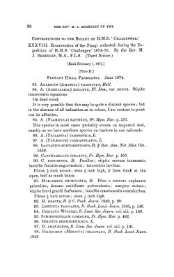 Contributions to the Botany of H.M.S. Challenger. XXXVIII