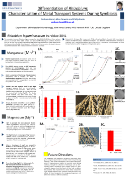 Characterisation of Metal Transport Systems