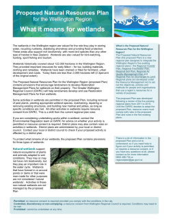 TEMPLATED information sheet Wetlands