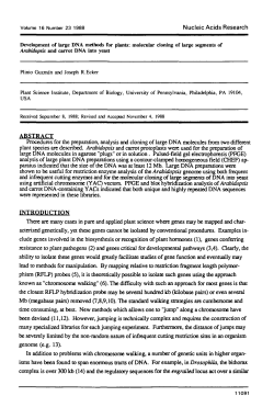 Development of large DNA methods for plants: molecular cloning of