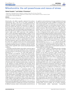 Mitochondria: the cell powerhouse and nexus of stress