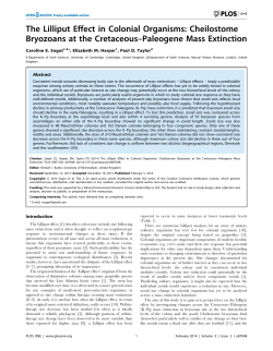 The Lilliput Effect in Colonial Organisms: Cheilostome Bryozoans at