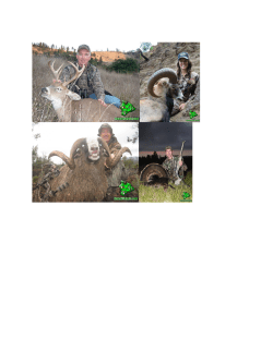 Hunt ID:HI-WDeerADeerGoatSheepHogTurkey-All