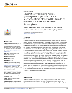 Epigenetically repressing human cytomegalovirus lytic infection and