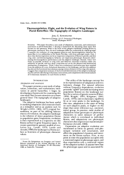 Thermoregulation, Flight, and the Evolution of Wing Pattern in Pierid