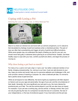 Coping with Losing a Pet: Grieving the Loss of a Dog, Cat, or other
