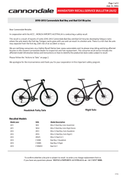 BAD BOY Vin Notice - Product Safety Australia