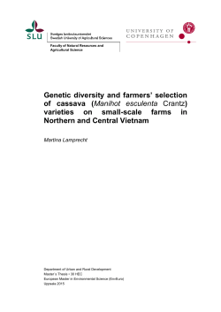 Genetic diversity and farmers` selection of cassava