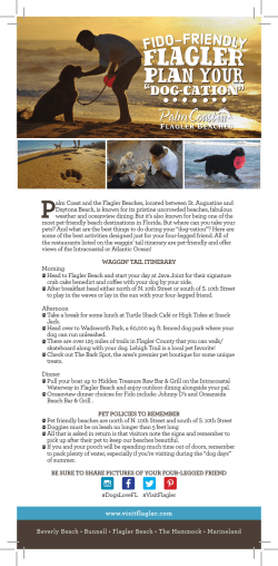 Pet Friendly Rack Card - Palm Coast and the Flagler Beaches