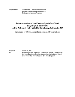 2012 Ashumet Spadefoot Toad Project Final Report