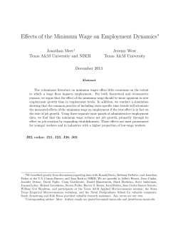 Effects of the Minimum Wage on Employment Dynamics