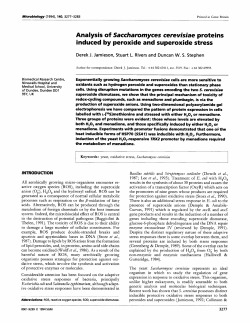 Analysis of Saccharomyces cerevisiae proteins