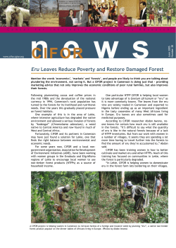 Eru leaves reduce poverty and restore damaged forest. CIFOR