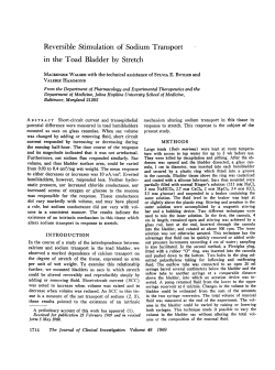 Reversible Stimulation of Sodium Transport in the Toad