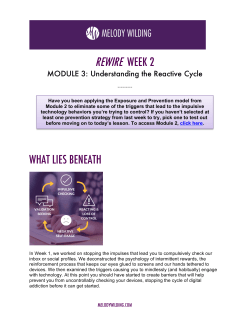 MODULE 3 - Melody Wilding