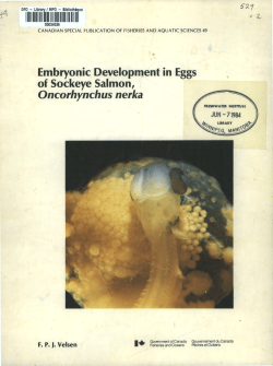 Embryonic Development in Eggs of Sockeye Salmon Oncorhynchus