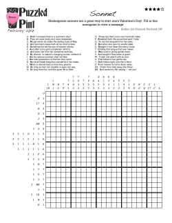 Sonnet - Puzzled Pint