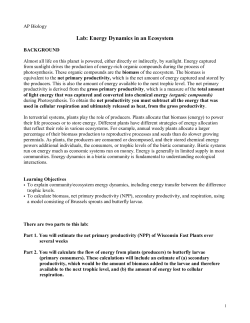 Lab: Energy Dynamics in an Ecosystem
