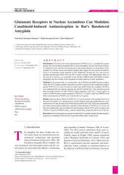 Glutamate Receptors in Nucleus Accumbens Can Modulate