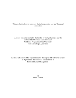 Calcium fertilization for raspberry fruit characteristics and leaf