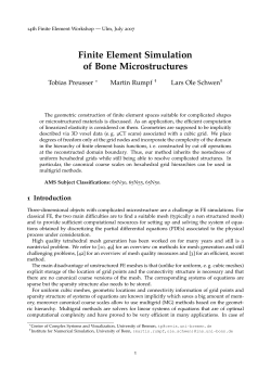Finite Element Simulation of Bone Microstructures