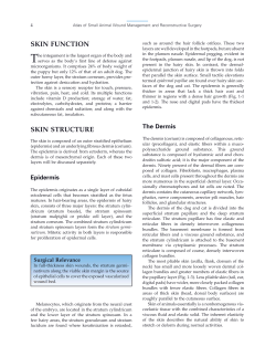 s誌n function s誌n structure